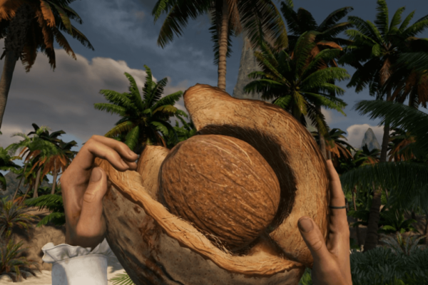 Coconut on bootstrap island